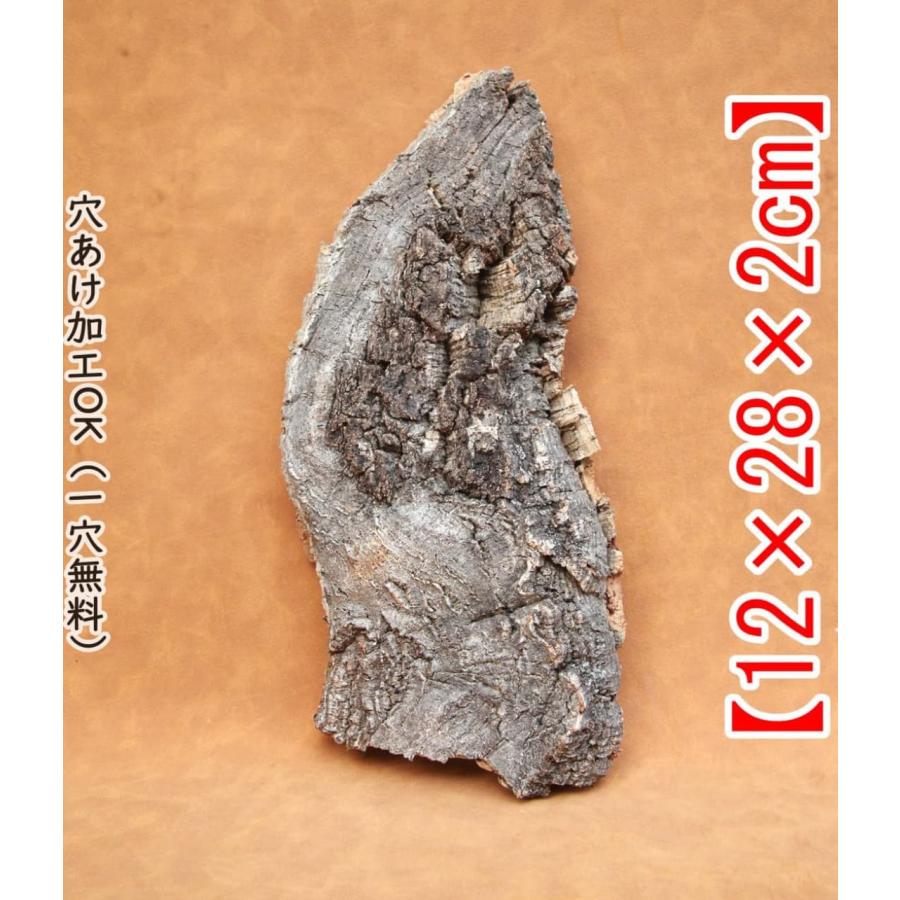 W633 ポルトガル産 キャノンコルク コルク樹皮 コルク板　バージンコルク M231 ポルトガル産 厚め コルク樹皮 コルク板 バージンコルク 送料無料