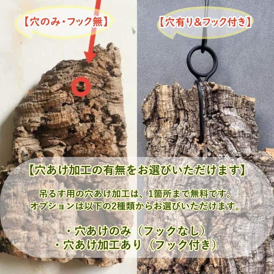 M231 ポルトガル産 厚め コルク樹皮 コルク板 バージンコルク 送料無料