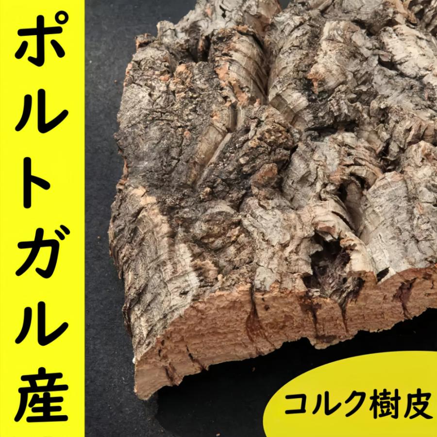 M231 ポルトガル産 厚め コルク樹皮 コルク板 バージンコルク 送料無料