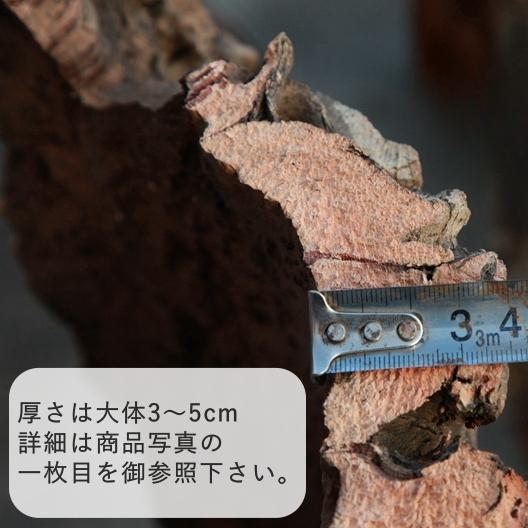 M231 ポルトガル産 厚め コルク樹皮 コルク板 バージンコルク 送料無料