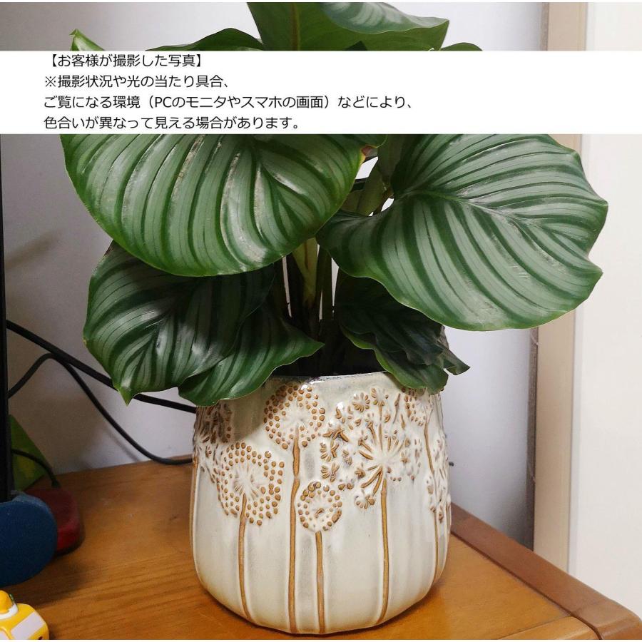 N0014 アメリカ たんぽぽ モチーフ ホワイト 植木鉢 室内 陶器鉢 多肉