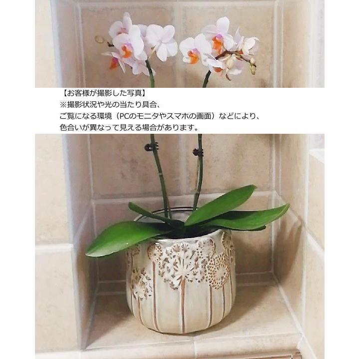 N0014 アメリカ たんぽぽ モチーフ ホワイト 植木鉢 室内 陶器鉢 多肉