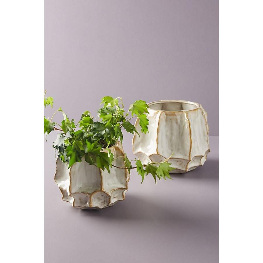 新品未使用 Anthropologie アンソロポロジー 陶器鉢 プランター