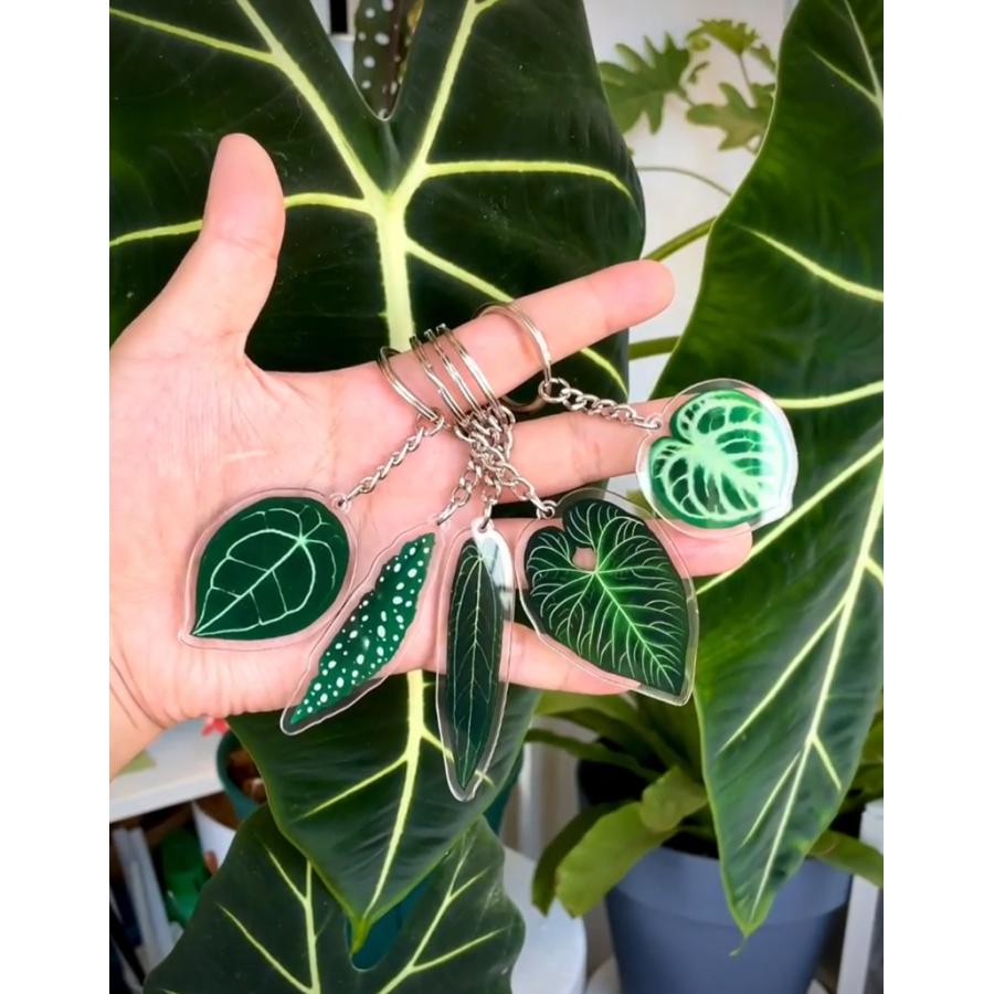 アロカシア・ミコリッチアナ アクリル キーホルダー 熱帯植物 観葉植物