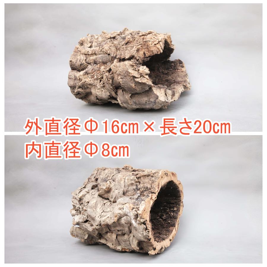 W274 ポルトガル産 キャノンコルク コルク樹皮 コルク板 バージン