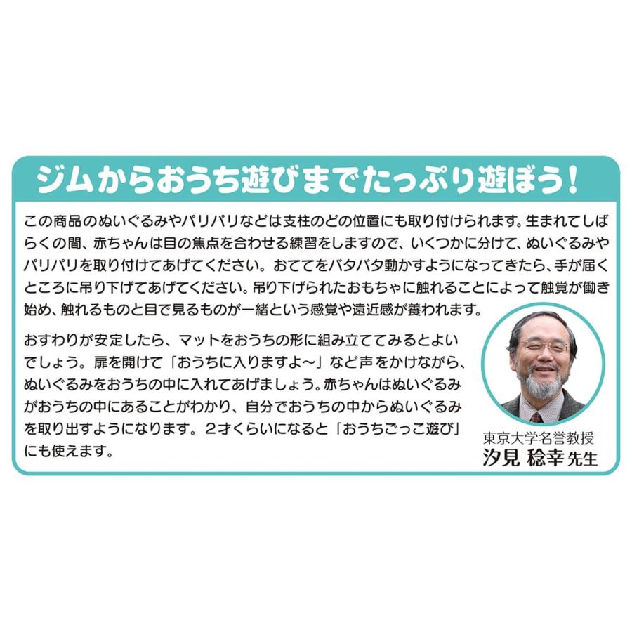 タカラトミー（TAKARA TOMY） ラッピング無料！プレイジム プレイ