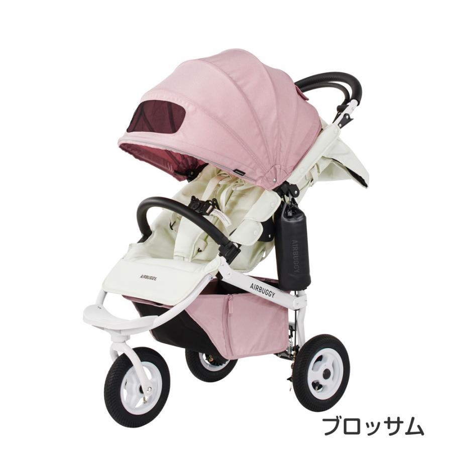 エアバギー ココブレーキEX フロムバース AirBuggy COCO EX From Birth 