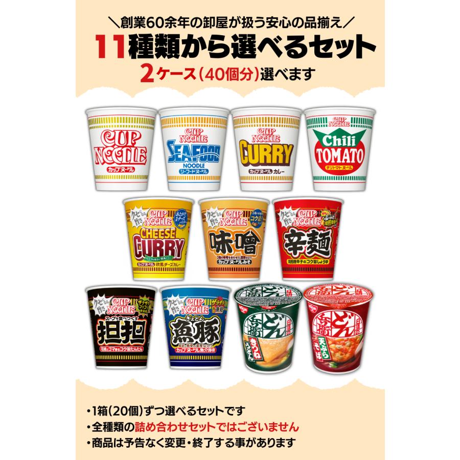 カップヌードル タテ型 カップラーメン 選べる2ケース 合計40個分