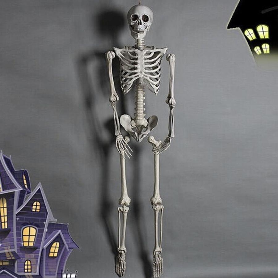 ハロウィン 骸骨 ガイコツ 骨 等身大 置物 約165cm ホラー リアル 本格的 誕生日 飾り付け 室内 置物 仮装 クリスマス用品 怖い 恐怖の画像