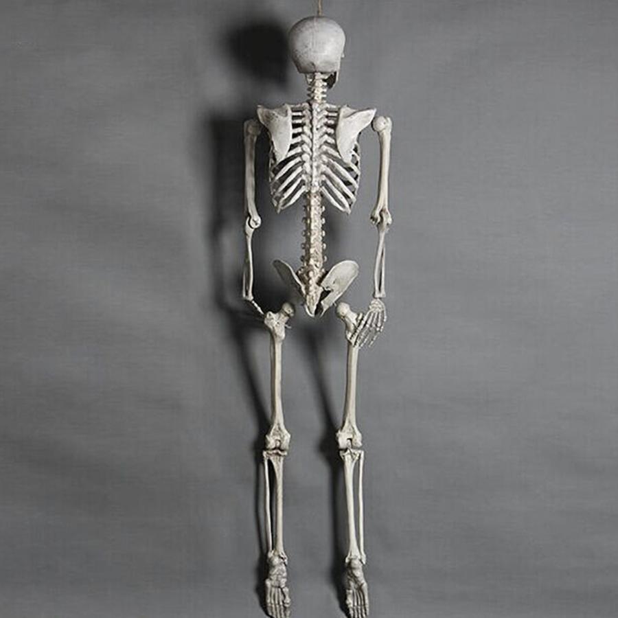 ハロウィン 骸骨 ガイコツ 骨 等身大 置物 約165cm ホラー リアル 本格的 誕生日 飾り付け 室内 置物 仮装 クリスマス用品 怖い 恐怖の画像