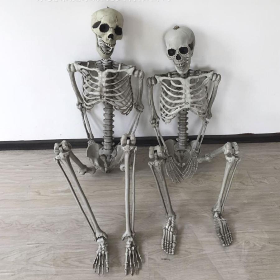 ハロウィン 骸骨 ガイコツ 骨 等身大 置物 約165cm ホラー リアル 本格的 誕生日 飾り付け 室内 置物 仮装 クリスマス用品 怖い 恐怖の画像