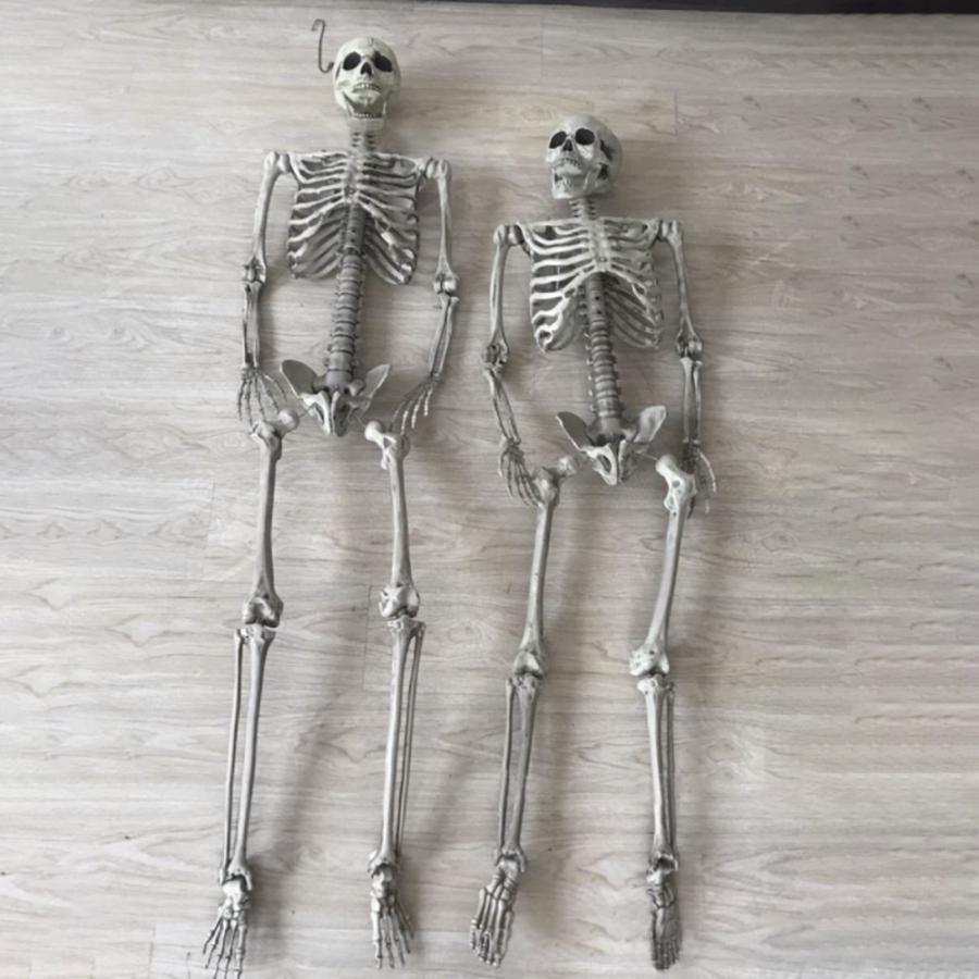 ハロウィン 骸骨 ガイコツ 骨 等身大 置物 約165cm ホラー リアル 本格的 誕生日 飾り付け 室内 置物 仮装 クリスマス用品 怖い 恐怖の画像