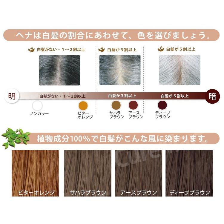 サハラブラウン(明るい茶色)　グリーンノートヘナオーガニータ　100g×5袋 グリーンノート ヘナ オーガニータ 100g サハラブラウン | Aming