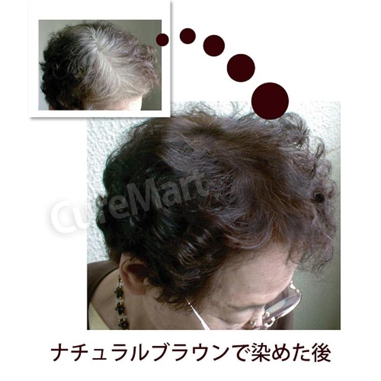 グリーンノート ヘナ ナチュラルブラウン 100g ＋おまけ付 ハーバル