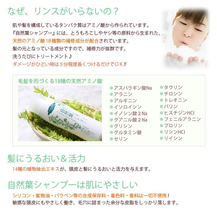 グリーンノート 自然葉シャンプー 300mL◇2本セット ヘナ染め専用