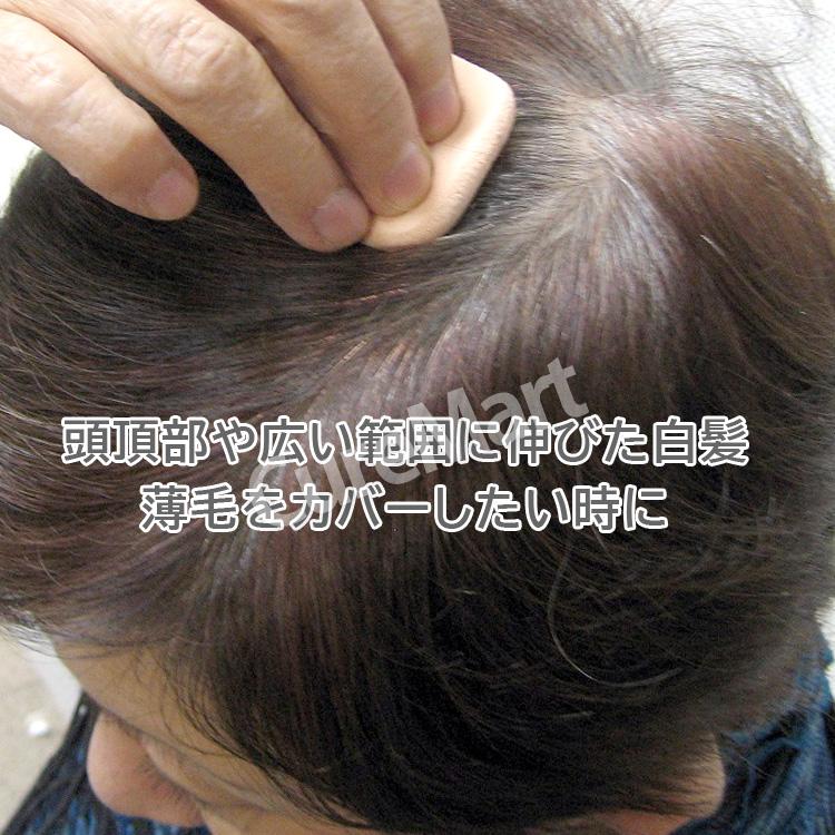 グリーンノート ヘナ ヘアカラー ファンデーション [コンパクトケース＋リフィル] 日本製 白髪染め 白髪ぼかし 白髪かくし  薄毛かくし 髪用ファンデーション