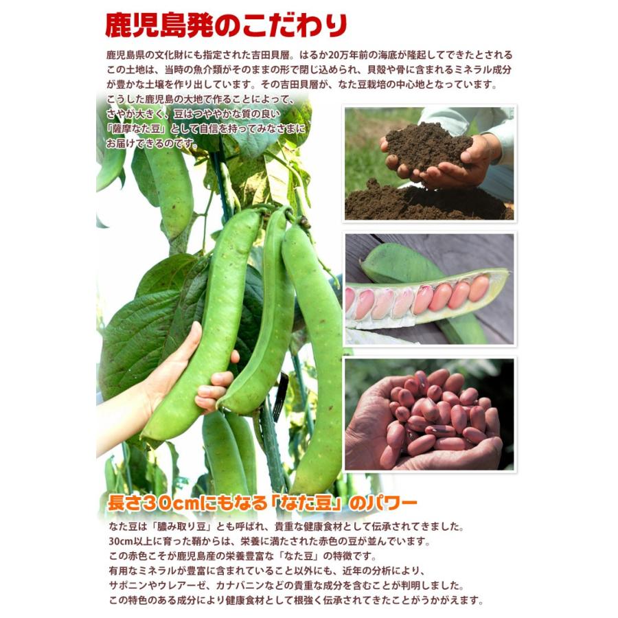 ヨシトメの薩摩なた豆歯磨き 110g◆3本セット 白箱 日本製 ナタマメ50％UP 天然塩配合 歯茎 ナタマメ 刀豆歯磨き なた豆 歯磨き粉 ハミガキ ナタマメ 刀豆 口臭 | ブランド登録なし | 03