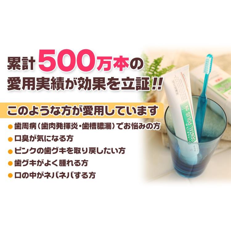 日本自然療法 デンタルポリスDX 80g◇6本セット +[専用スクイーザー付 