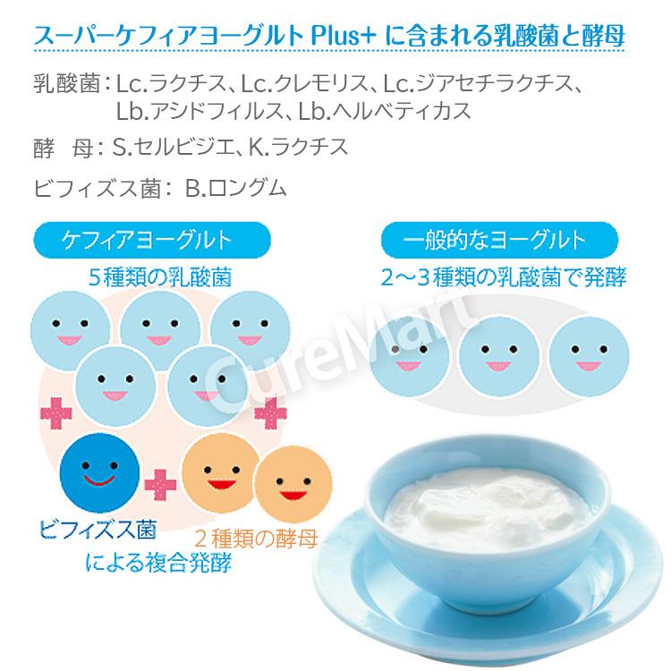 全品送料無料 スーパー ケフィアヨーグルト たね菌 10本入 8個セット 2個おまけ 計100本 送料無料 Kefir ヨーグルト種菌 ヨーグルト菌 手作り 牛乳パック 乳酸菌 高知インター店 Aleefsurgical Com