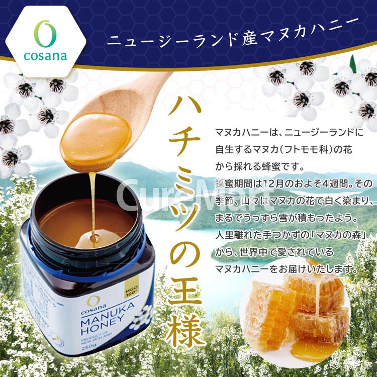 コサナ マヌカハニー MGO600+ 500g ニュージーランド産 cosana 大容量 ボトル容器 マヌカハニー はちみつ マヌカハチミツ メチルグリオキサールの画像
