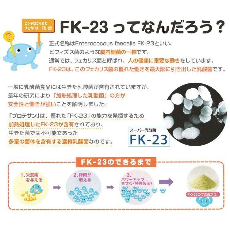 プロテサン B 31包 [+3包増量] 濃縮乳酸菌 FK-23菌 FK23 フェカリス菌