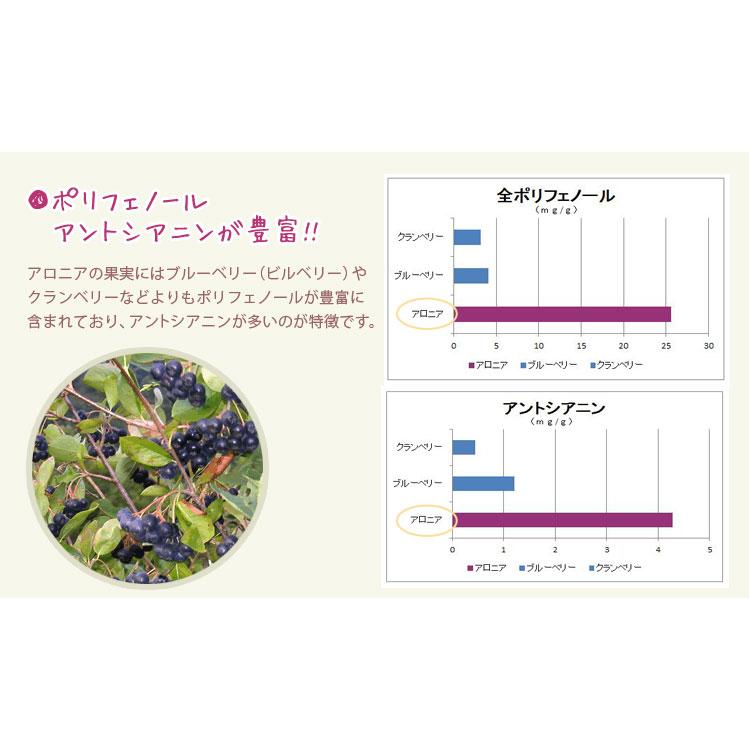 有機 アロニアジュース 300mL ストレート果汁100％ ブルガリア産 中垣