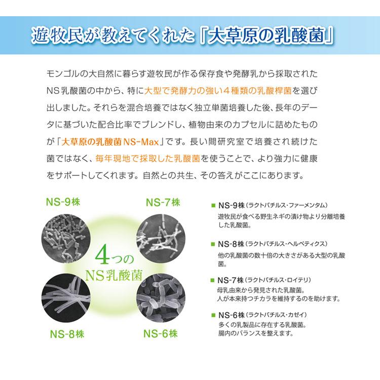 大草原の乳酸菌 NS-Max 36粒 日本製 ラクア NS乳酸菌 共生性 ロイテリ