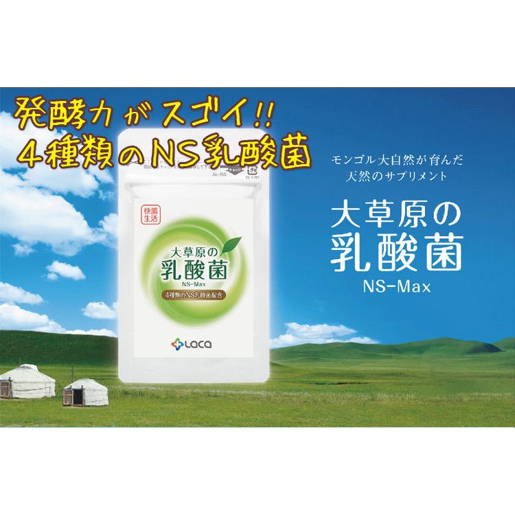 大草原の乳酸菌 NS-Max 36粒◆2袋セット [+8粒増量]   NS乳酸菌 エヌエス・マックス サプリメント モンゴル 乳酸菌 ロイテリ菌共生性乳酸菌 乳酸桿菌 ラクア｜curemart｜02