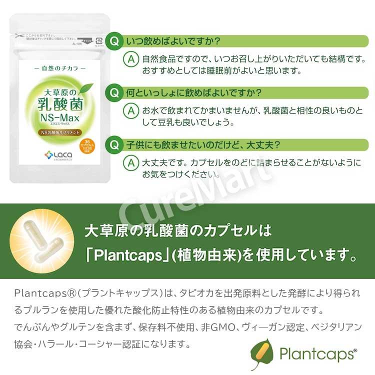 大草原の乳酸菌 NS-Max 36粒◇2袋セット [+8粒増量] 日本製 ラクア NS