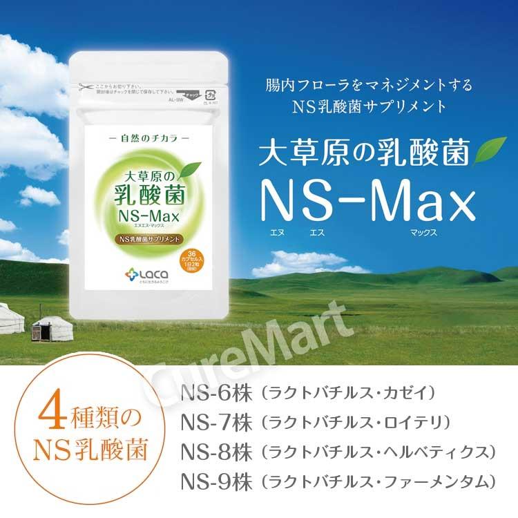 大草原の乳酸菌 NS-Max 36粒◇6袋セット [＋32粒増量] 日本製 ラクア