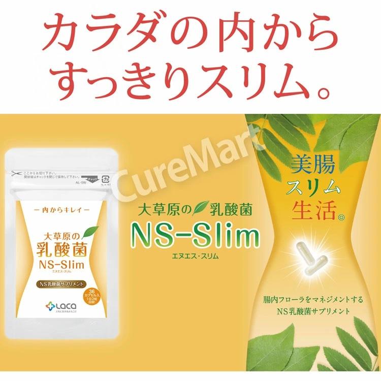 NS乳酸菌　３袋セット 大草原の乳酸菌 NS-Max・NS-Slim◇各3袋(計6袋)セット [＋各16粒