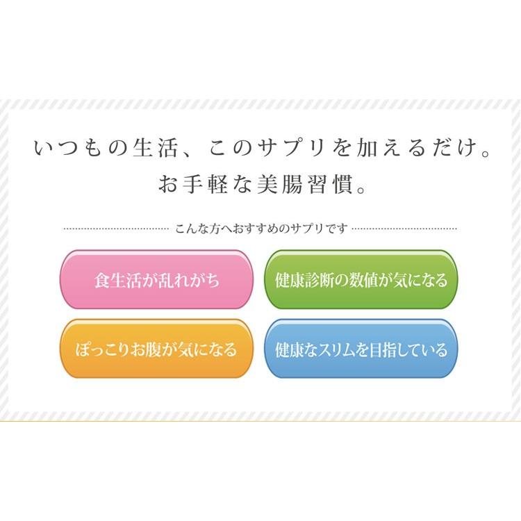 大草原の乳酸菌 NS-Max・NS-Slim◇各3袋(計6袋)セット [＋各16粒増量