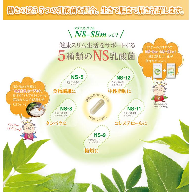 大草原の乳酸菌 NS-Slim 36粒◇2袋セット [+8粒増量] 日本製 ラクア NS