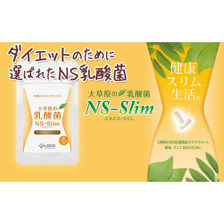 さくらこ☆アルタイns乳酸菌3袋 アルタイのNS乳酸菌 未開封3袋セット - メルカリ