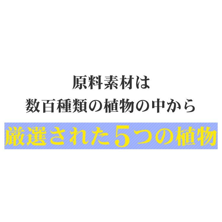 インターナチュラル 30包 日本製 パラディアム INTER NATURAL 高分子