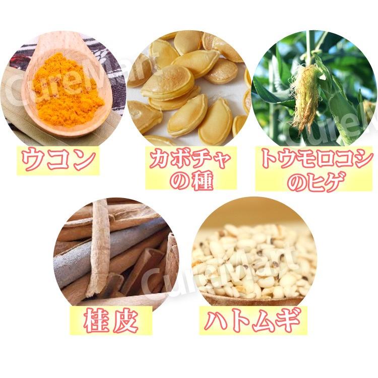 インターナチュラル 30包 日本製 パラディアム INTER NATURAL 高分子