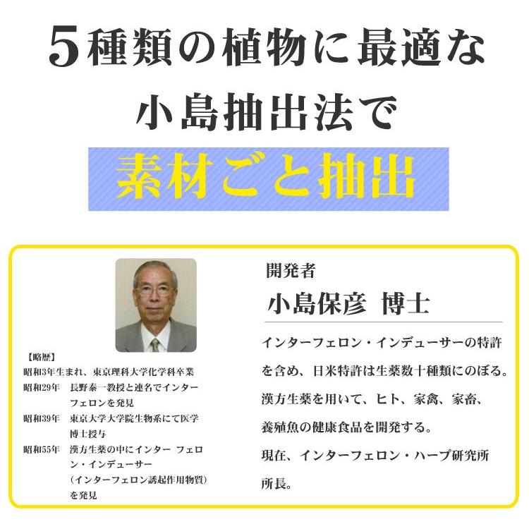 インターナチュラル 30包 日本製 パラディアム INTER NATURAL 高分子