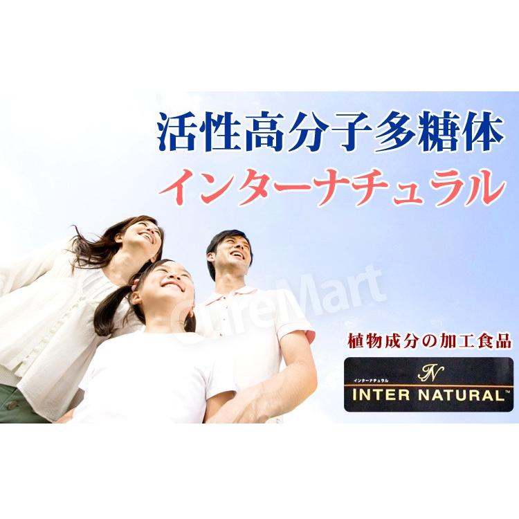 インターナチュラル 30包◇2箱セット 日本製 パラディアム INTER