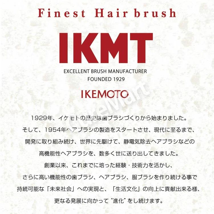 池本刷子工業 送料無料/ IKMT ブラッシングブラシ 小 豚毛(やわらかめ