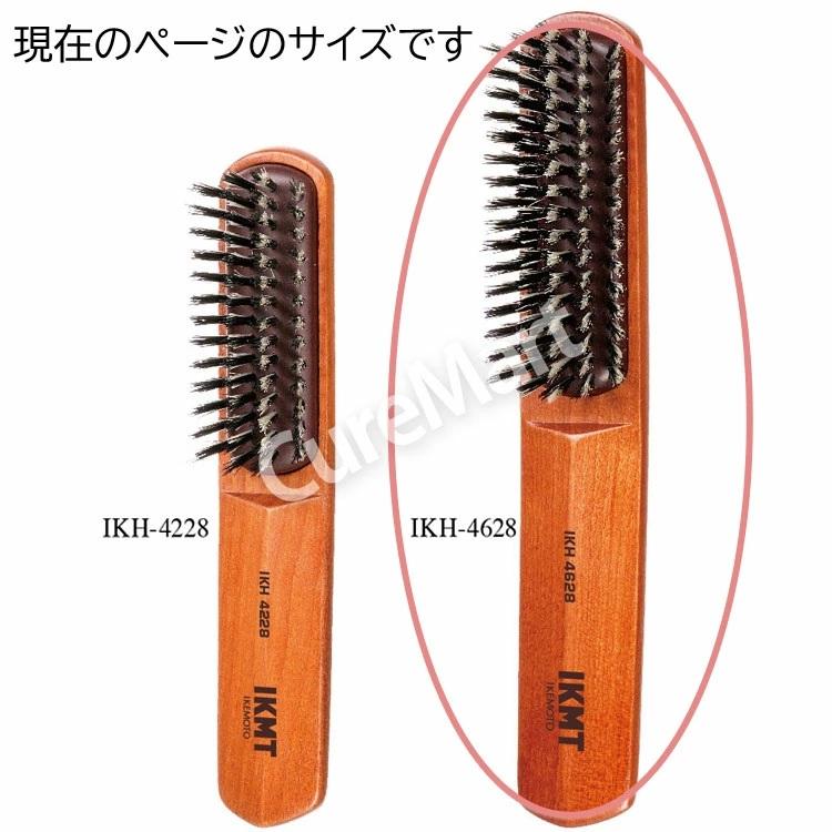 池本刷子工業 送料無料/ IKMT ブラッシングブラシ 大(21.5cm) かたさS