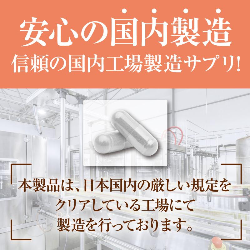 NMNプレミアム 7500×1800 60粒 NMN 7500mg × 黒マカ、スーマ、ガラナ