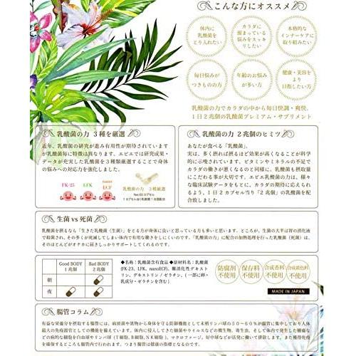 乳酸菌含有食品 エピエ 乳酸菌の力 epier FLORA COLLECTION 20000億個