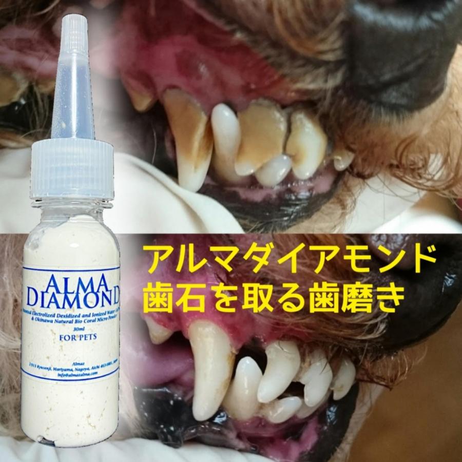 犬 猫 ペット 歯石除去 アルマダイアモンド 30ml 1本 歯石とり 口臭ケア グッズ 自宅 歯磨き 用品　爆買 | 