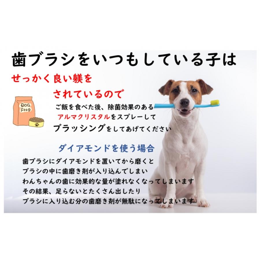 犬 猫 ペット 歯石除去 アルマダイアモンド 30ml 1本 歯石とり 口臭ケア グッズ 自宅 歯磨き 用品　爆買 |  | 10