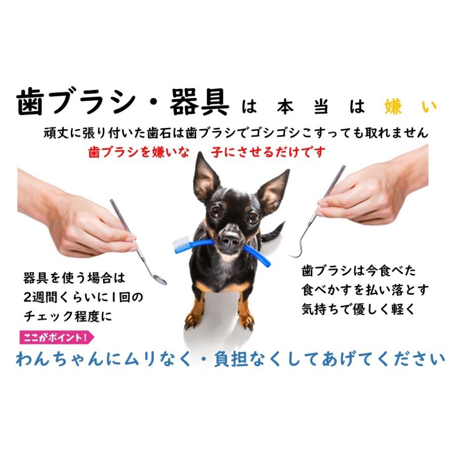 犬 猫 ペット 歯石除去 アルマダイアモンド 30ml 1本 歯石とり 口臭ケア グッズ 自宅 歯磨き 用品　爆買 |  | 11