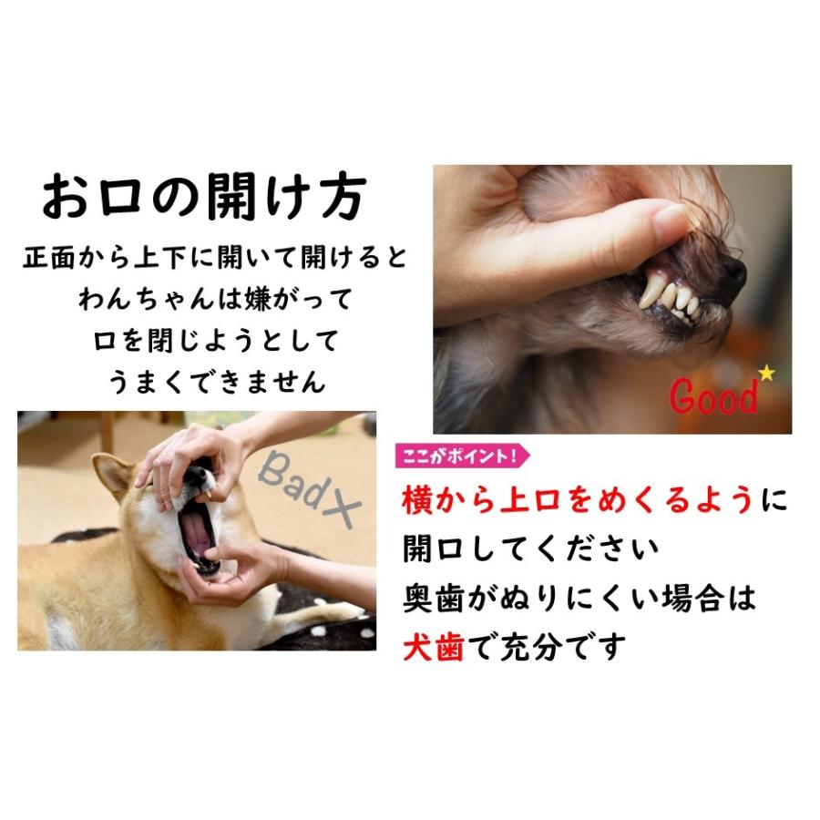 犬 猫 ペット 歯石除去 アルマダイアモンド 30ml 1本 歯石とり 口臭ケア グッズ 自宅 歯磨き 用品　爆買 |  | 12