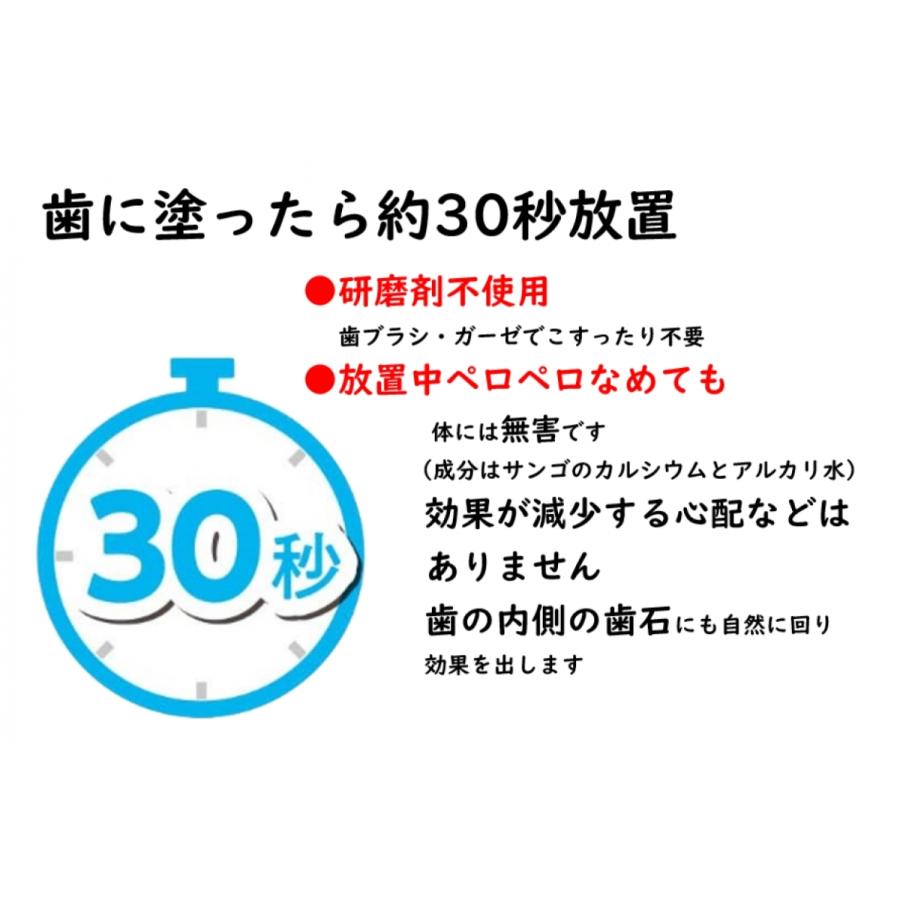 犬 猫 ペット 歯石除去 アルマダイアモンド 30ml 1本 歯石とり 口臭ケア グッズ 自宅 歯磨き 用品　爆買 |  | 05