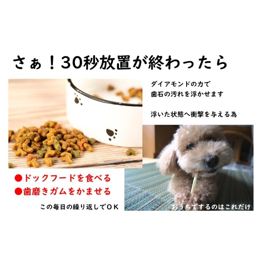 犬 猫 ペット 歯石除去 アルマダイアモンド 30ml 1本 歯石とり 口臭ケア グッズ 自宅 歯磨き 用品　爆買 |  | 06