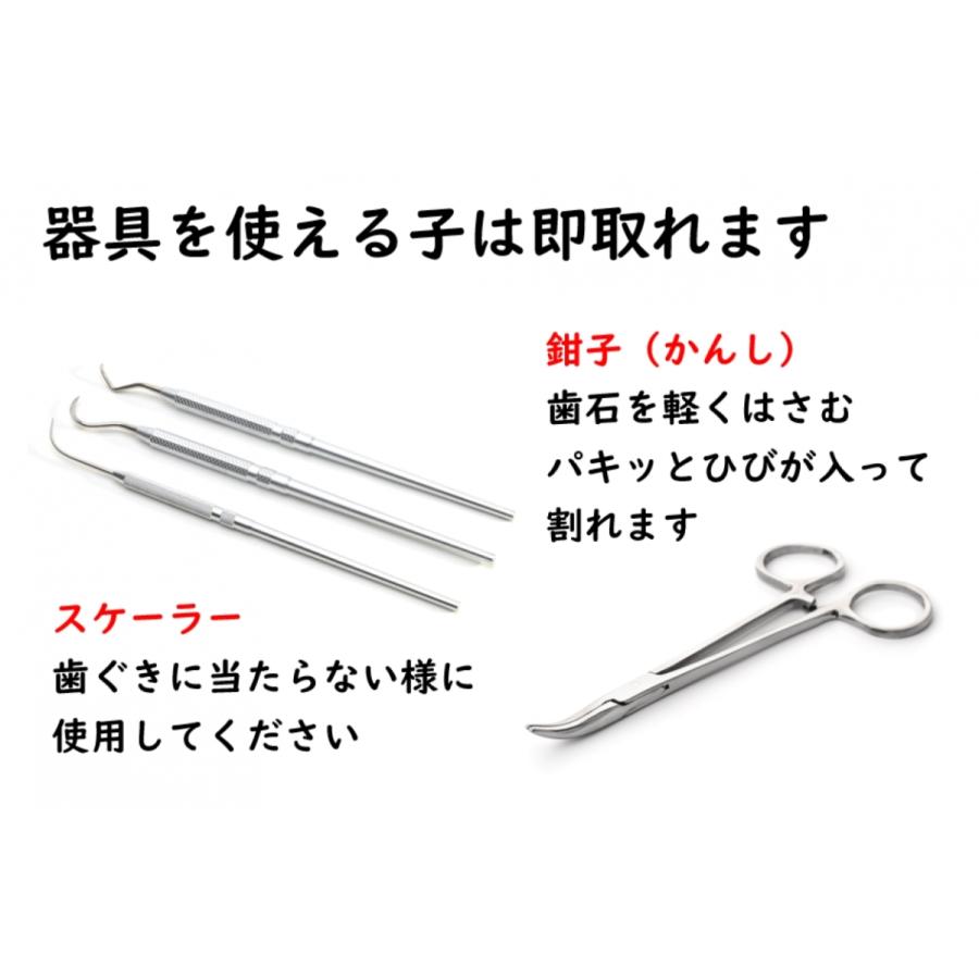 犬 猫 ペット 歯石除去 アルマダイアモンド 30ml 1本 歯石とり 口臭ケア グッズ 自宅 歯磨き 用品　爆買 |  | 08