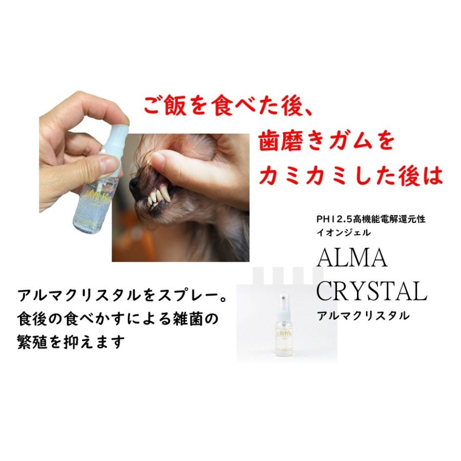 犬 猫 ペット 歯石除去 アルマダイアモンド 30ml 1本 歯石とり 口臭ケア グッズ 自宅 歯磨き 用品　爆買 |  | 09